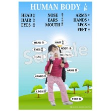 Human Body - Chinese Poster