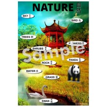 Nature - Chinese Poster