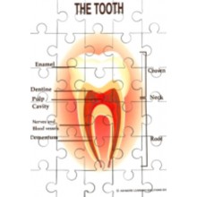 Teeth Jigsaw